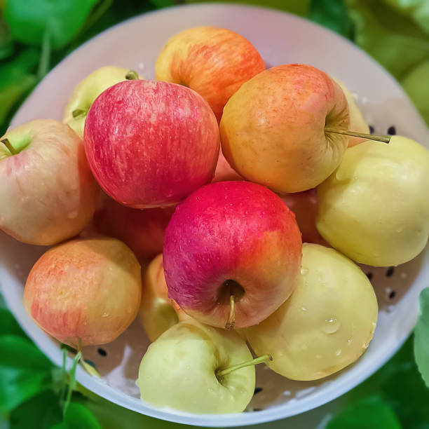 istock Fresh red and yellow apples in a white bowl on  leaves background 1803284073