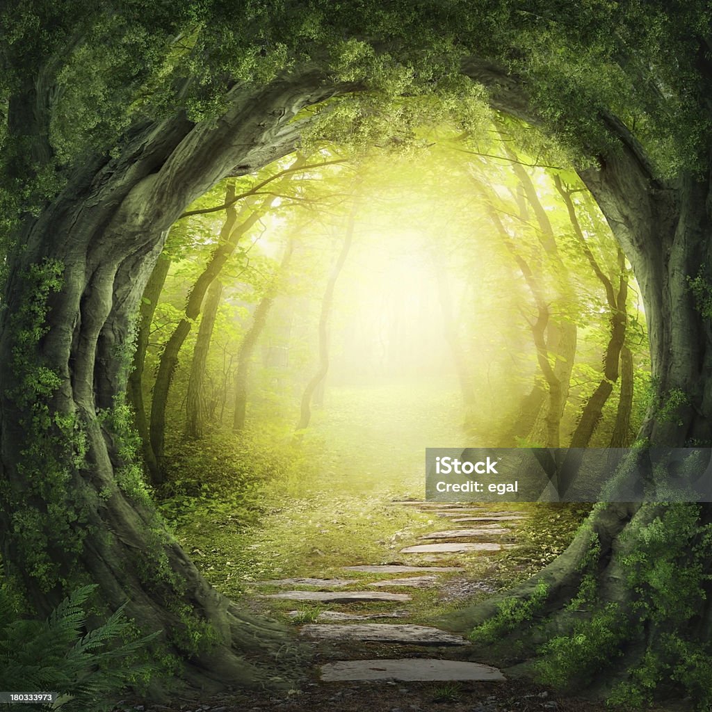 Stone road in magic forest leads to haze of light Road in magic dark forest Forest Stock Photo