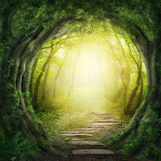 Stone road in magic forest leads to haze of light Road in magic dark forest fairy stock pictures, royalty-free photos & images