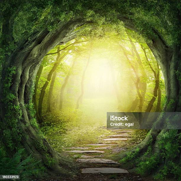 Stone Road In Magic Forest Leads To Haze Of Light Stock Photo - Download Image Now - Forest, Fantasy, Mystery