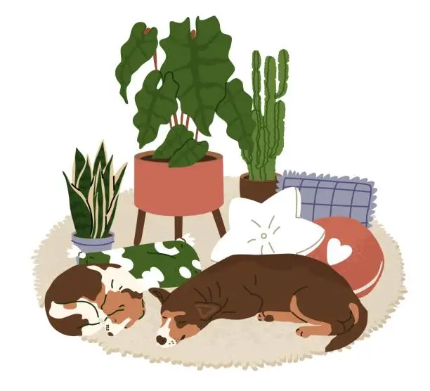 Vector illustration of Two dogs sleeps on a soft light carpet, surrounded by pillows of various shapes and potted indoor plants. The concept of a cozy home with pets. Vector illustration.