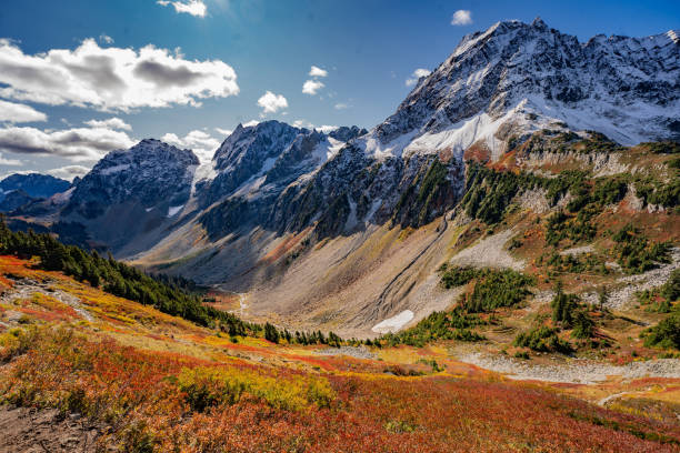 Fall Color in North Cascade Park Fall Color in North Cascade Park north cascades national park cascade range waterfall snowcapped stock pictures, royalty-free photos & images