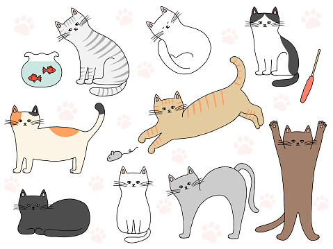 Set of cats, vector illustration