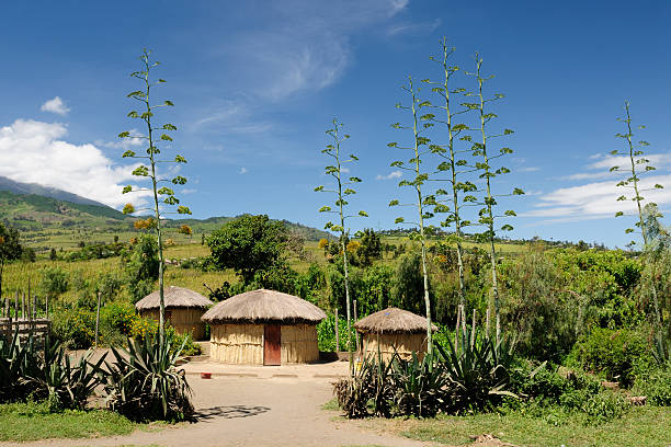 paesaggio africano - hut africa grass hut mud hut foto e immagini stock