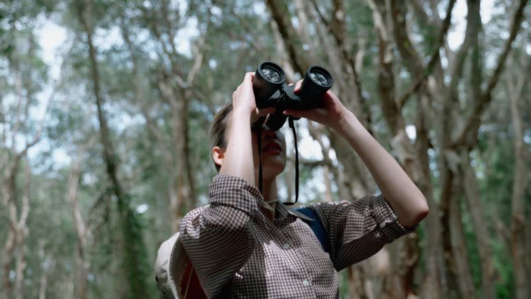 Asian female researcher traverses a mangrove forest to document the flora and fauna and the landscape and environment in the area of mangrove forests for further research to develop knowledge