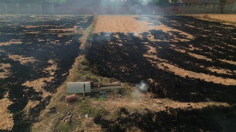 Drone footage of fire flames, grass fire in harvested rice field, farm