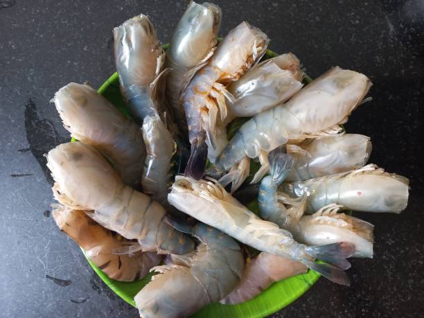 istock Fresh and clean big size prawns 1803413846
