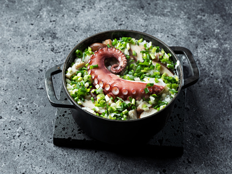 Octopus Rice Bowl with Chives