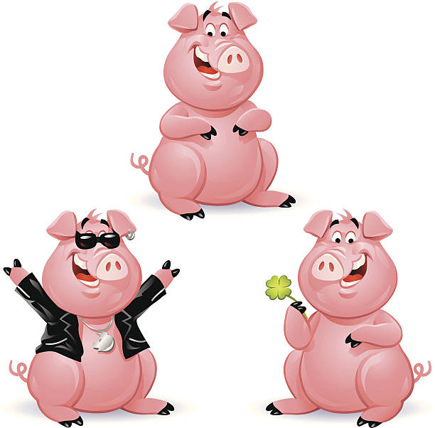 świnie 3 - świnia domowa stock illustrations