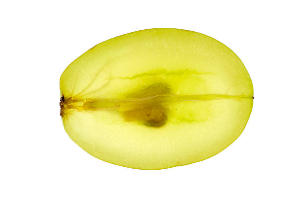 Green grape cut across and isolated in white stock photo