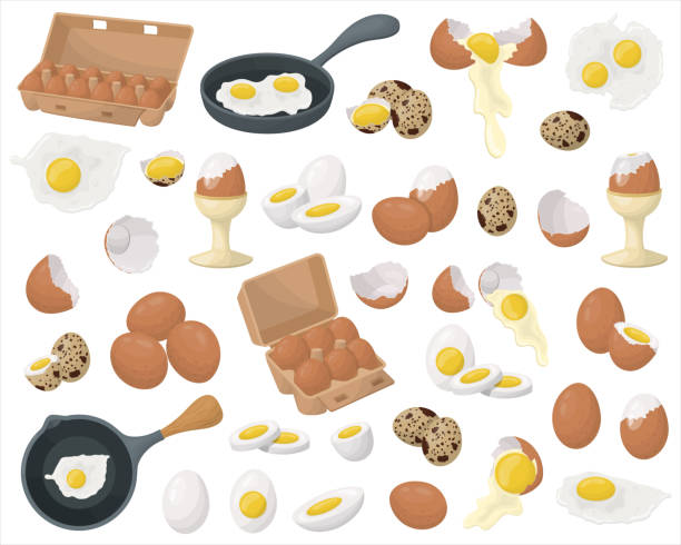 illustrazioni stock, clip art, cartoni animati e icone di tendenza di un set di uova di gallina e quaglia. uova fritte e sode, uova in padella, gusci d'uovo. vettore - frying pan fried fried chicken fried egg