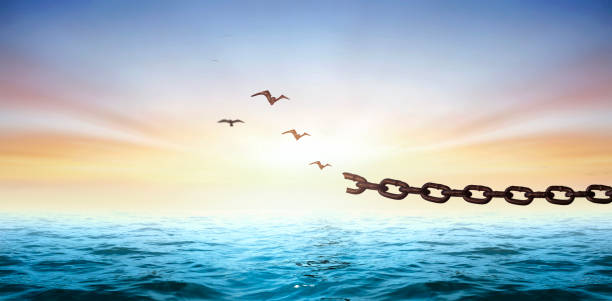 istock Silhouettes of broken chain and birds flying in blue sky 1803490549
