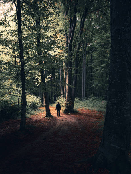 istock Landscape with trees, colorful green foliage. 1803498063