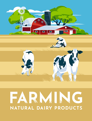 cattle farm and agriculture concept. Traditional house with barn. Poster. Vector flat illustration