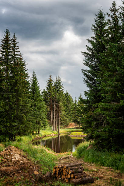 istock Lake in Rhodope mountains 1803512038