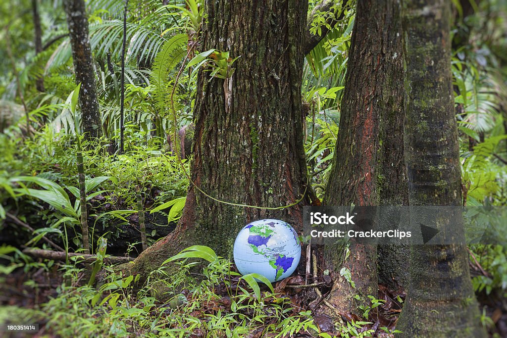 Insuflável globo na Floresta pluvial - Royalty-free Globo terrestre Foto de stock