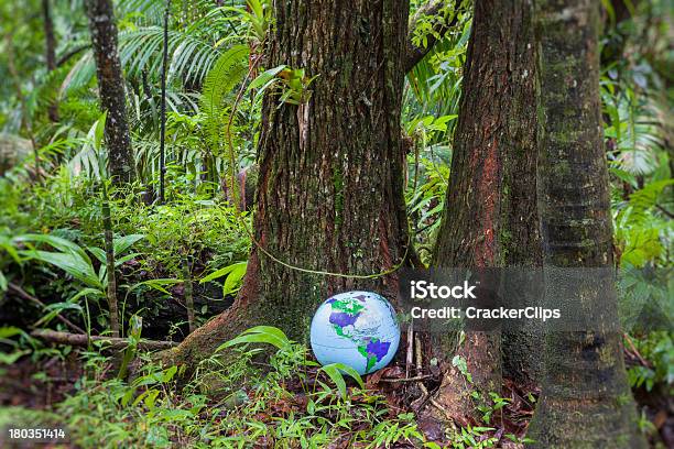 Insuflável Globo Na Floresta Pluvial - Fotografias de stock e mais imagens de Globo terrestre - Globo terrestre, Planeta, Bola de Praia