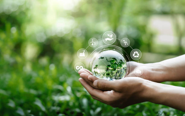 istock Hands protection globe on nature background with icon Environmental, renewable, sustainable energy, CO2, net zero, and ESG concept for low or neutral carbon. Ecology and Environment concept 1803554372
