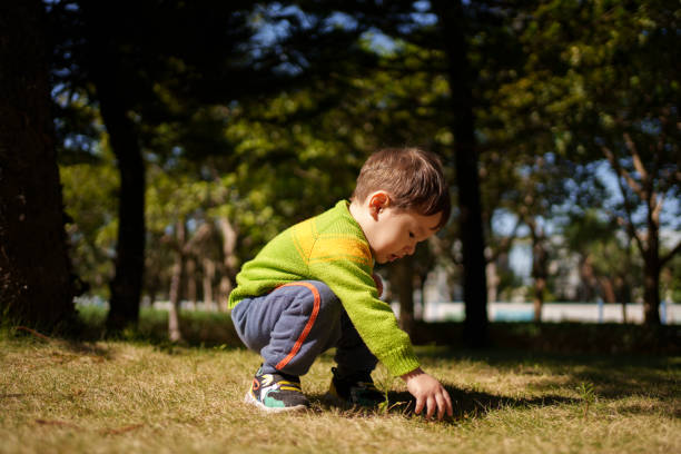 istock Children playing in the woods 1803600527