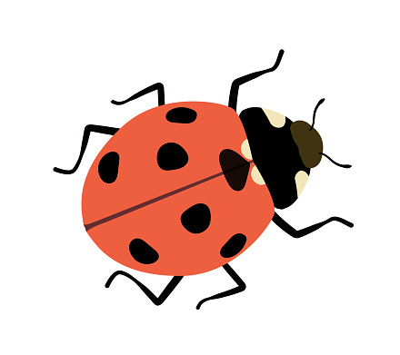 Cute insect concept. Red and black ladybug. Fauna, nature and wild life. Zoology and biology. Spring and summer. Social media sticker. Cartoon flat vector collection isolated on white background