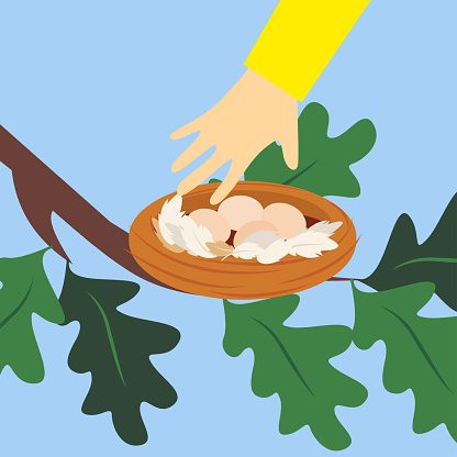 Eggs in the basket on the tree. Vector illustration.