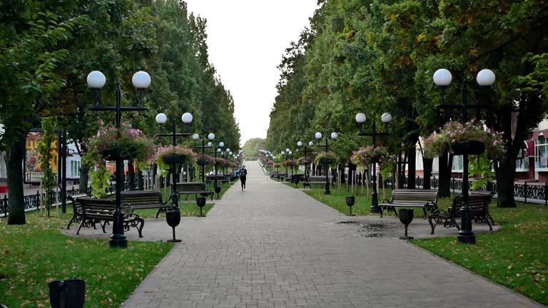 beautiful autumn morning in the city park
a woman in the city park is doing a morning run
the person is very far away and therefore unrecognizable
the concept of healthy lifestyle
filming on steadicam