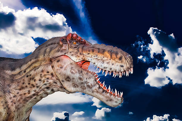 Scary Dino gigantosaurus in a dark sky Scary Dino gigantosaurus in a dark sky coelurosauria stock pictures, royalty-free photos & images