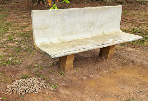 cement bench in the park