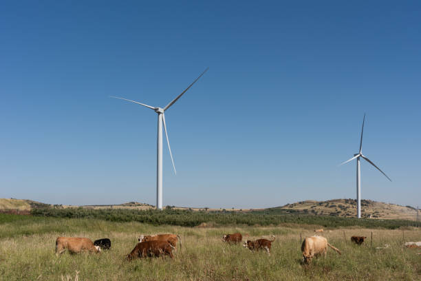 istock Wind turbines in northern Israel 1803692128