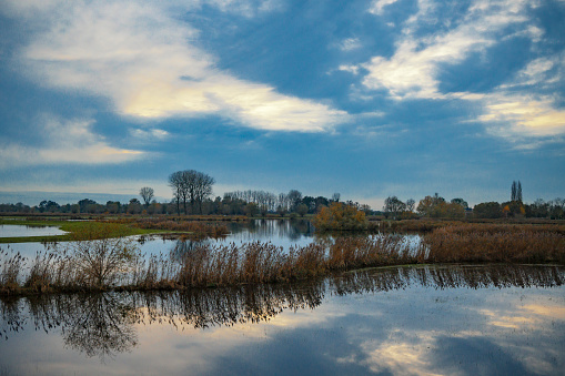 High water level in the river Vecht at the near Hasselt in the Dutch Vecht region in Overijssel, The Netherlands. The river is overflowing on the floodplains after heavy rainfall upstream