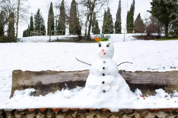 Snowman or snowwoman decorated with plant elemets. Italian landscape.