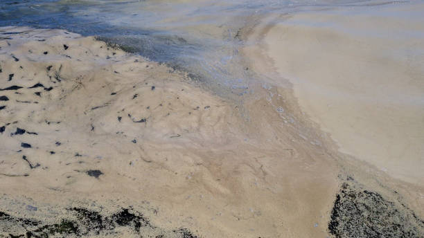 istock Dirty muddy sea water with gentle waves 1803760759
