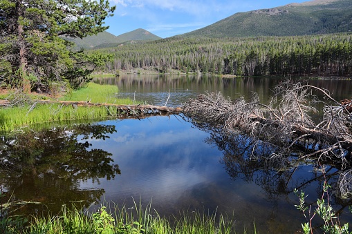 Sprague Lake. American landscape Rocky Mountain National Park in Colorado.
