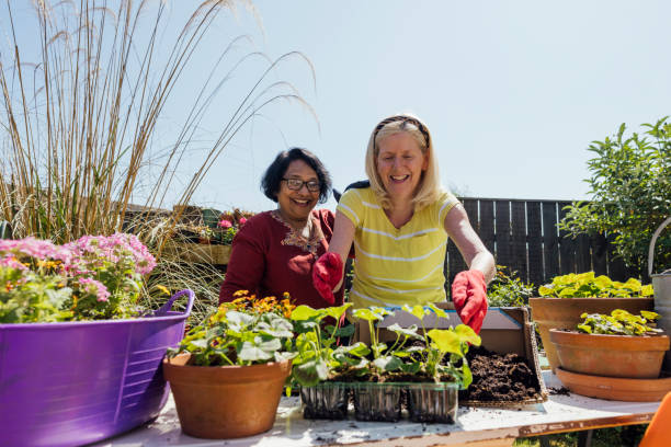 istock Bee and Butterfly Planting 1803773842