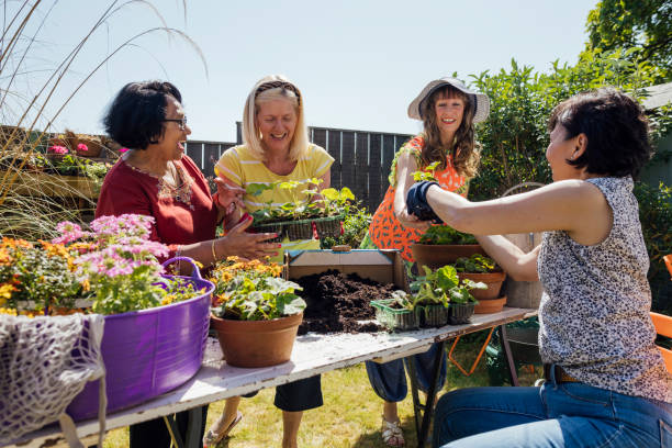 istock Gardening Club 1803773843