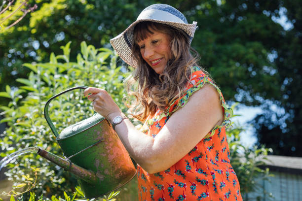 istock Watering The Flowers 1803773845