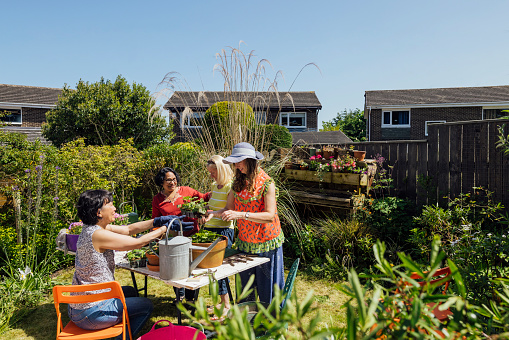 A group of female friends are at a potting table in a sunny back garden potting plants and chatting.