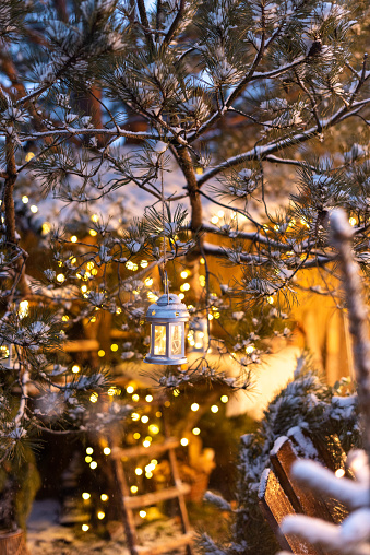 Hanging decorative lantern on a pine tree with a garland