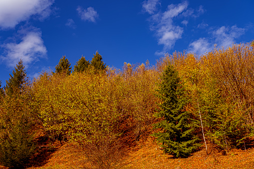 beautiful autumn lendscape in the Romanian mountains, Fantanele village area, Sibiu county, Cindrel mountains, Romania