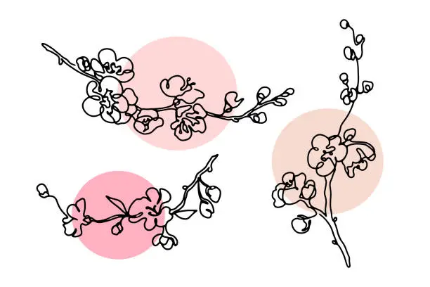 Vector illustration of Cherry blossom branch single line art