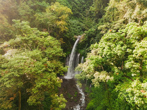 Scenic aerial  view of waterfall among tropical jungles