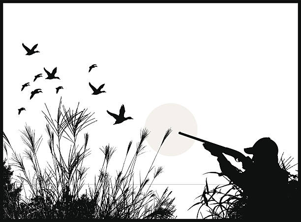 Duck Hunter - Hunting Background Duck Hunter - Hunting Background. Graphic silhouette illustration of a Duck Hunter - Hunting. Check out my "Flaming Sports Balls and More" light box. hunting stock illustrations