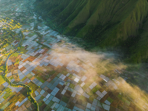 Scenic aerial view of patches of fields in fog visible from Pergasingan hill
