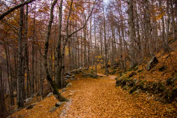 Photo of Autumn in Ordesa and Monte Perdido National Park, Spain