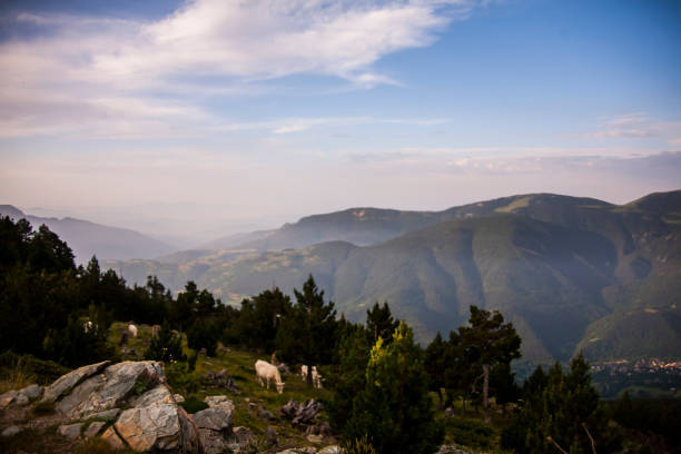 istock Summer landscape in La Cerdanya, Pyrenees, Spain 1803853030