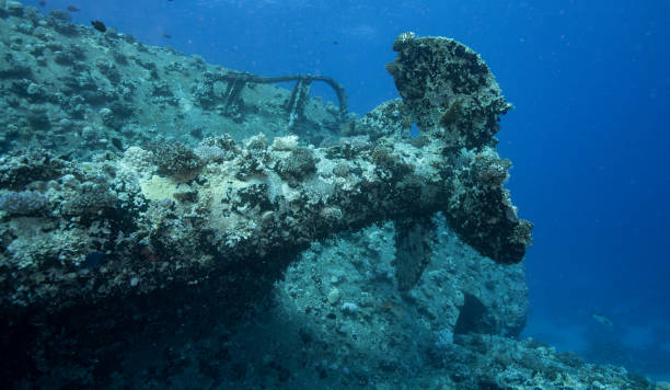 istock Wreck of MV Salem Express 1803880841