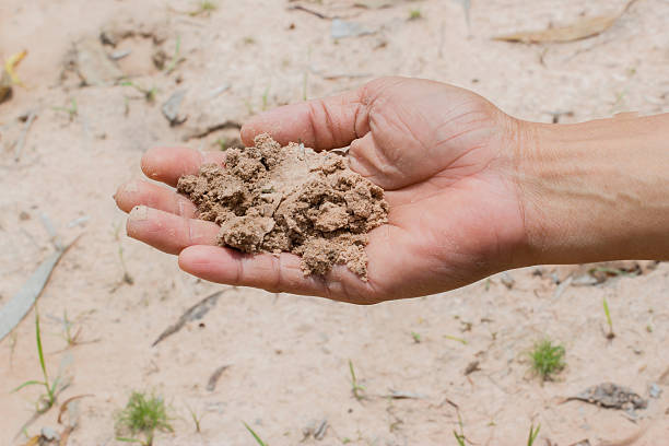 zanieczyszczenia w rolnik ręka - fertilizer nitrogen potassium particle zdjęcia i obrazy z banku zdjęć