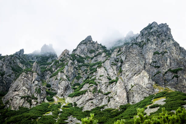 Mlynicka valley, High Tatras mountain, Slovak republic. Hiking theme. Seasonal natural scene.