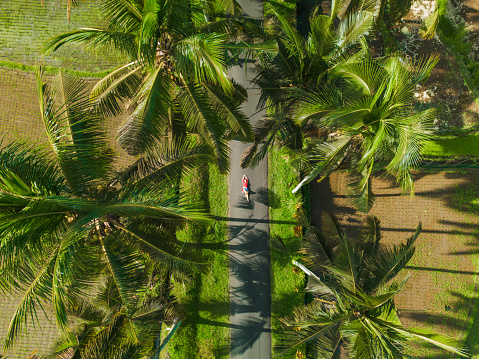Aerial view of woman laying on road among coconut palm trees on Bali island