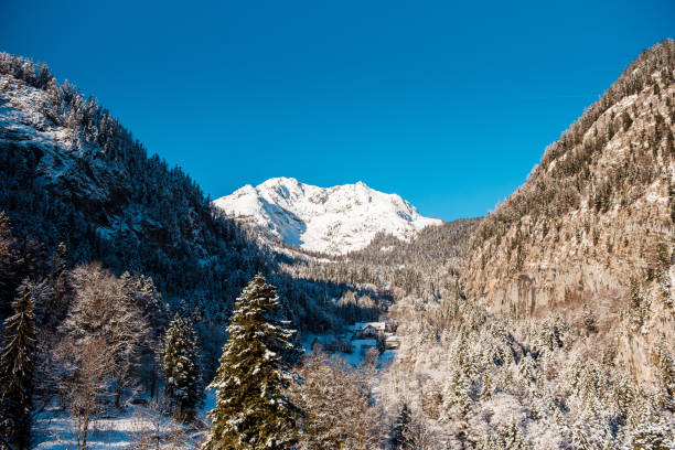 istock Winter landscape with coniferous forest at mighty Alps 1803951000